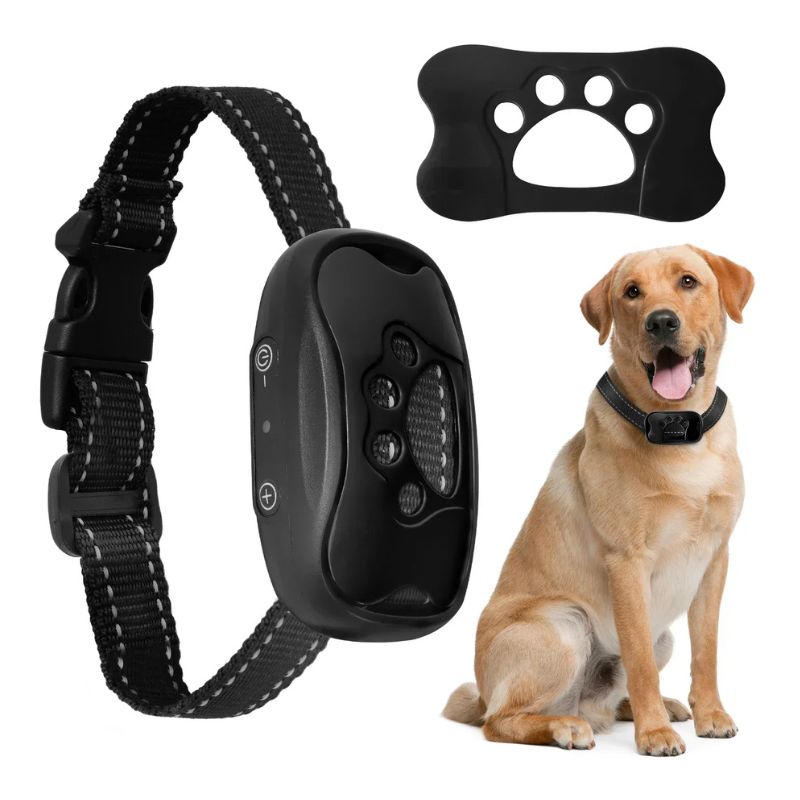 Anti-Bark Halsband