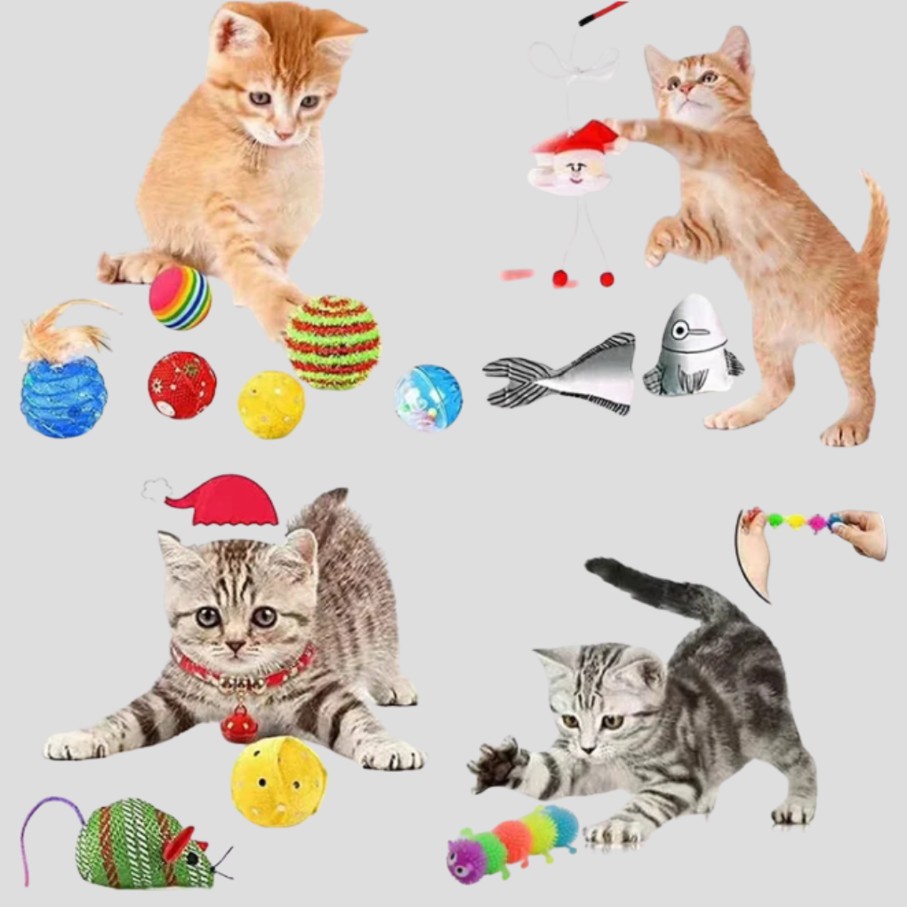 Emeja | Kat Speelgoed Adventskalender 24-Dagen Aftelset