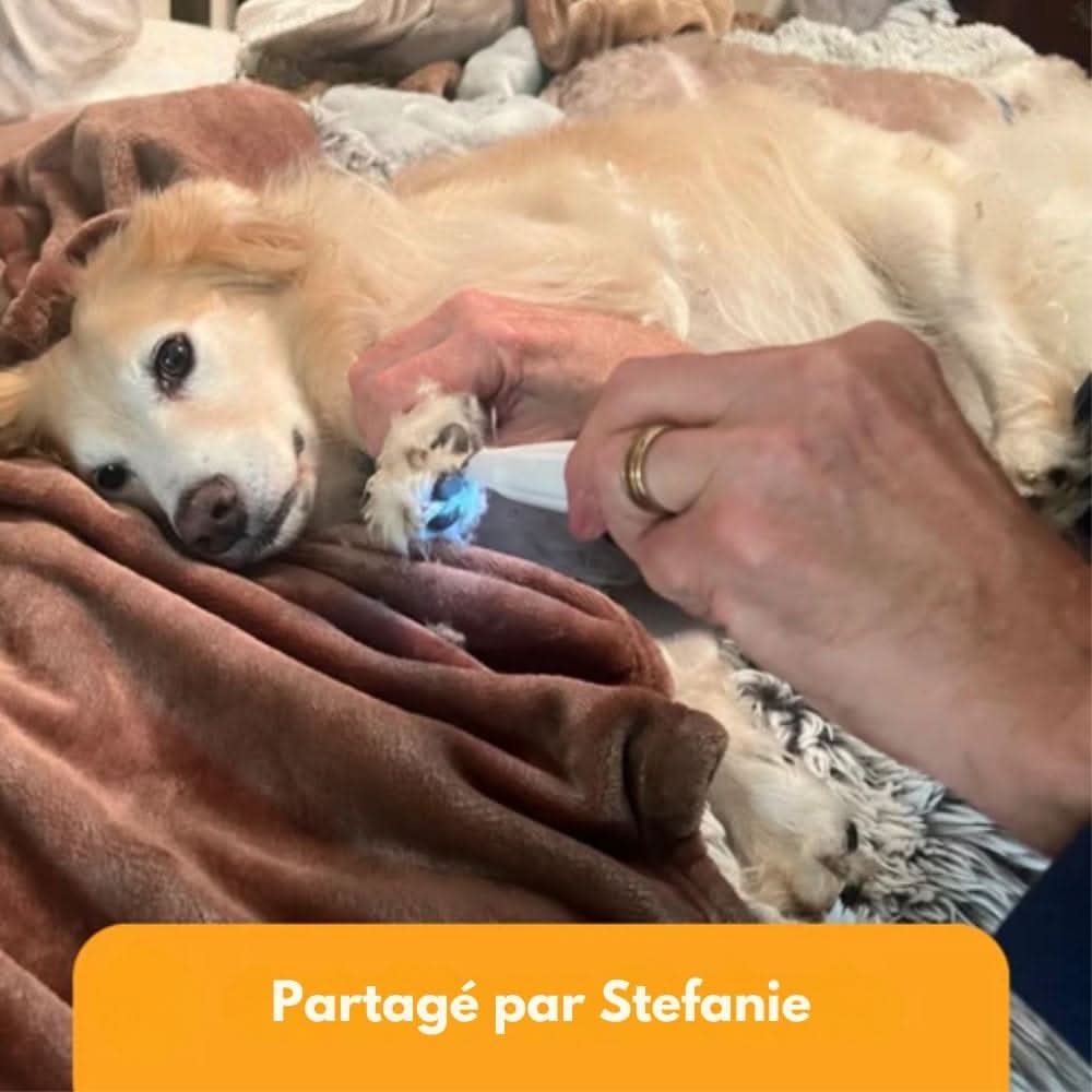 Emeja | SilentPet Trimmer – Stille Vachttrimmer voor Gevoelige Gebieden bij Honden & Katten