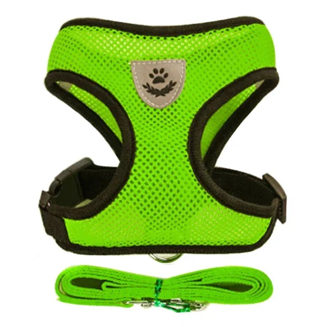 Harnas & Leash voor Kat & Hond
