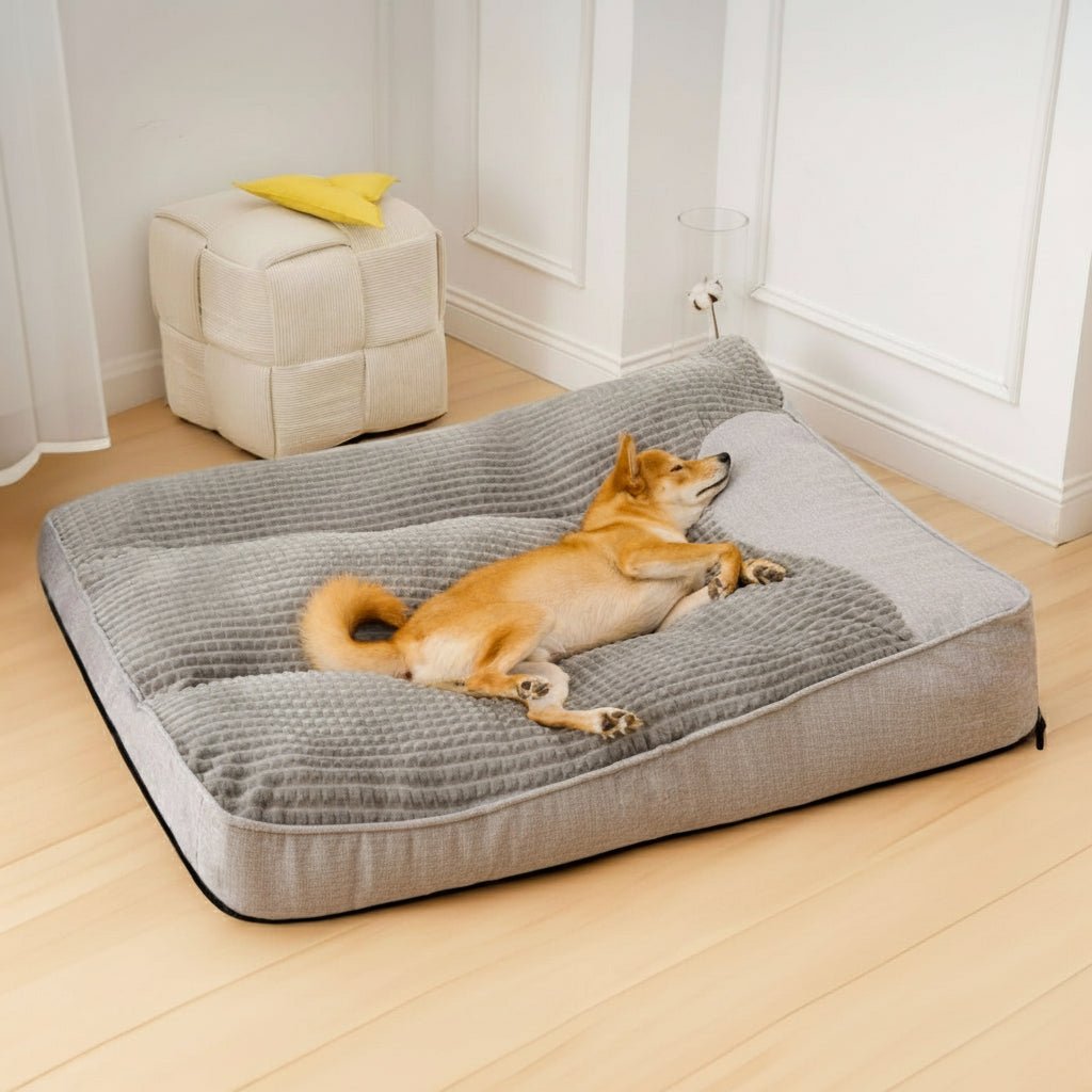 HUGBED – Groot krasbestendig hondenbed met orthopedische rugsteun