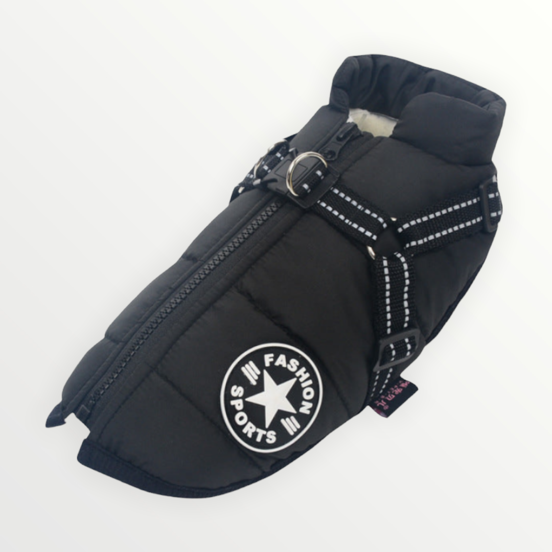 PawShield™ – De 3-in-1 Hondenjas