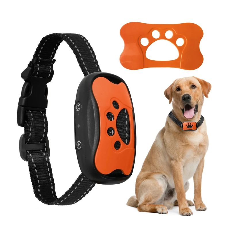 Anti-Bark Halsband