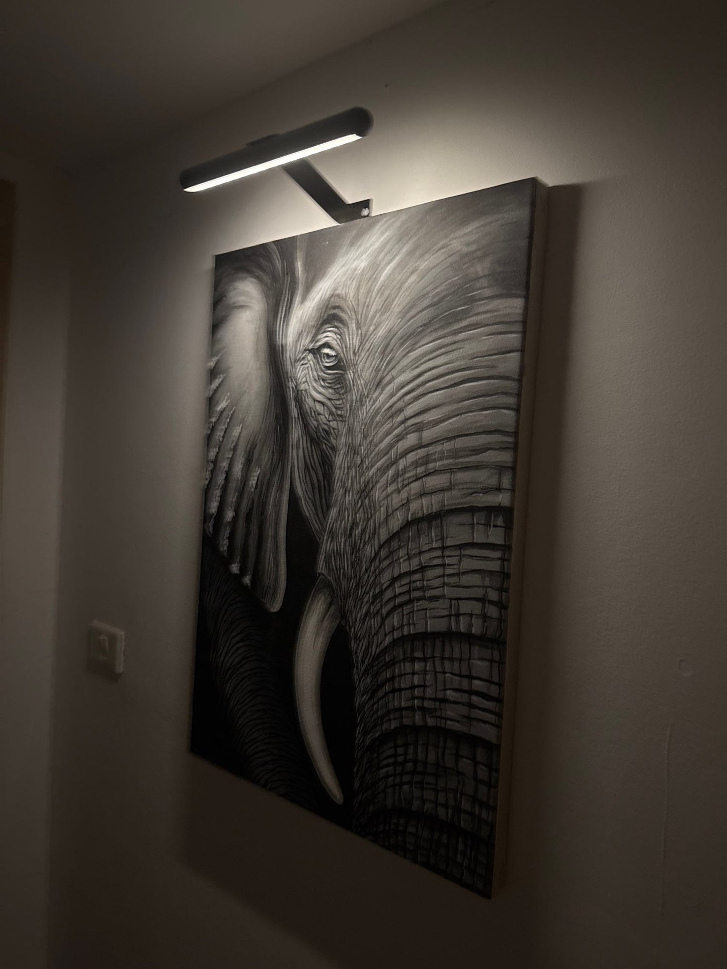 ArtGlow Draadloze LED Verlichting voor Schilderijen – Oplaadbare Wandlamp met Afstandsbediening, Dimbare Verlichting