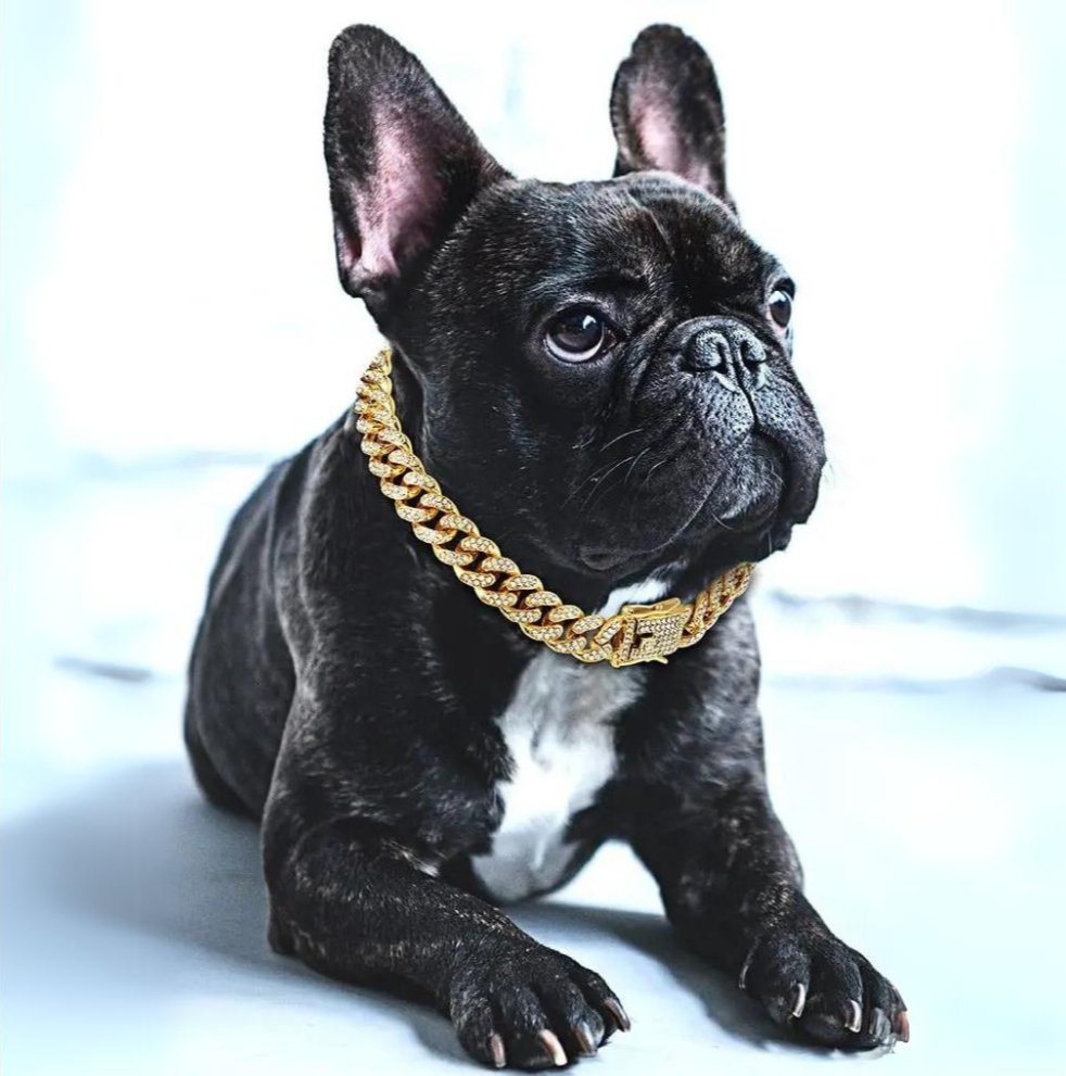BlingPaws • Honden Gouden Ketting Halsband
