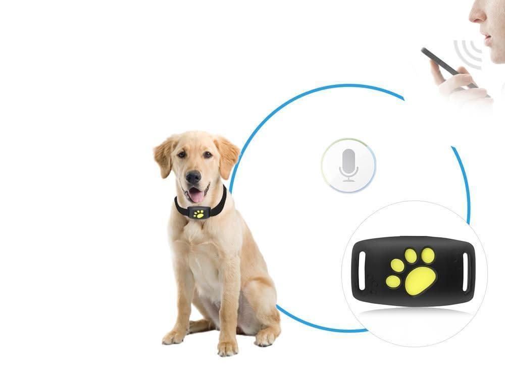 CAT GPS Tracker – Real-time Tracking Zonder Abonnement