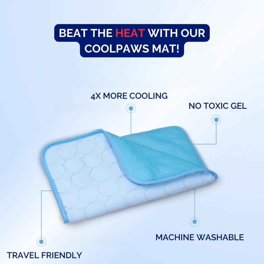 CoolPaws • Hond Koelmat