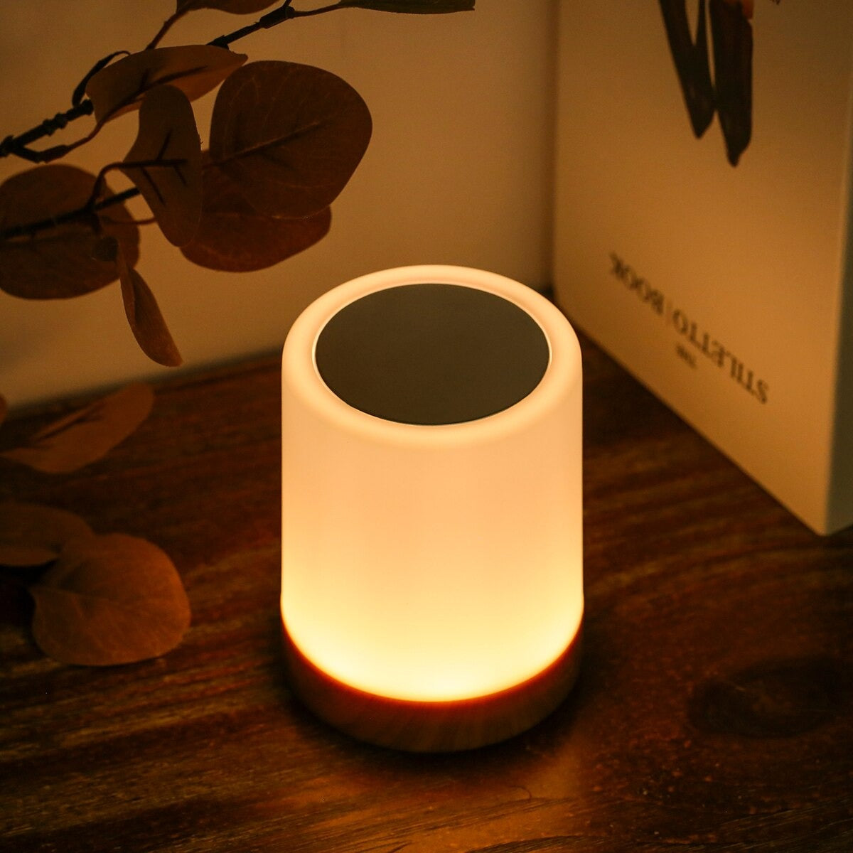 Draadloze Touch Bedlamp