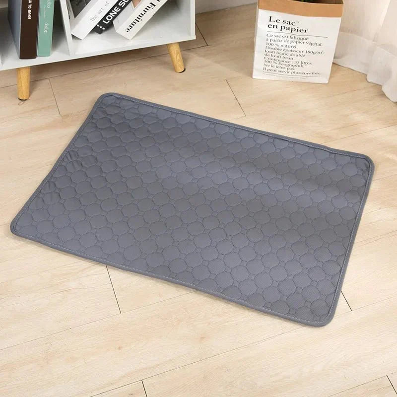 EcoComfort • Wasbare Hond Plasmatten