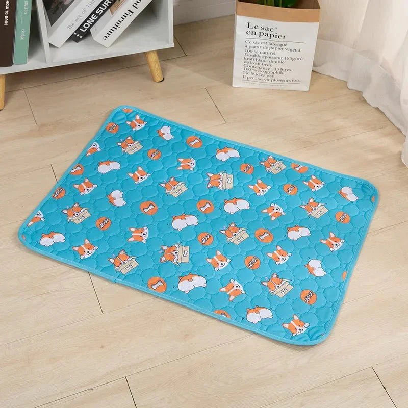 EcoComfort • Wasbare Hond Plasmatten