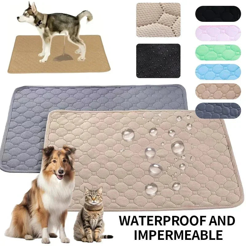 EcoComfort • Wasbare Hond Plasmatten