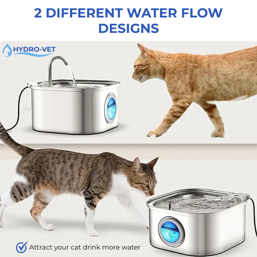 Emeja | AquaSoft Fluister Stille Huisdier Drinkfontein – 3.2L met LED, Roestvrij Staal & 5-Fase Filtratie