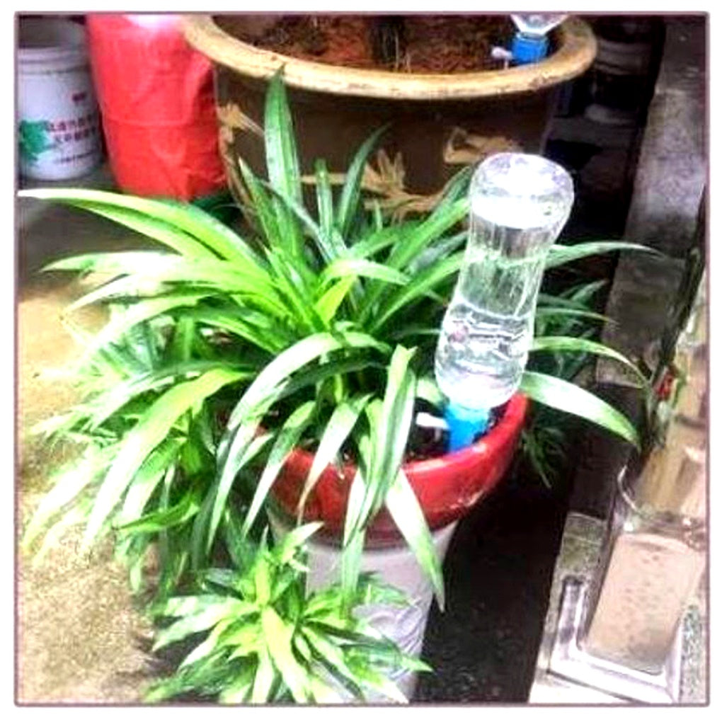 Emeja | Automatische Planten Watergeefspikes - Verstelbare Stroom Tuin Hulp