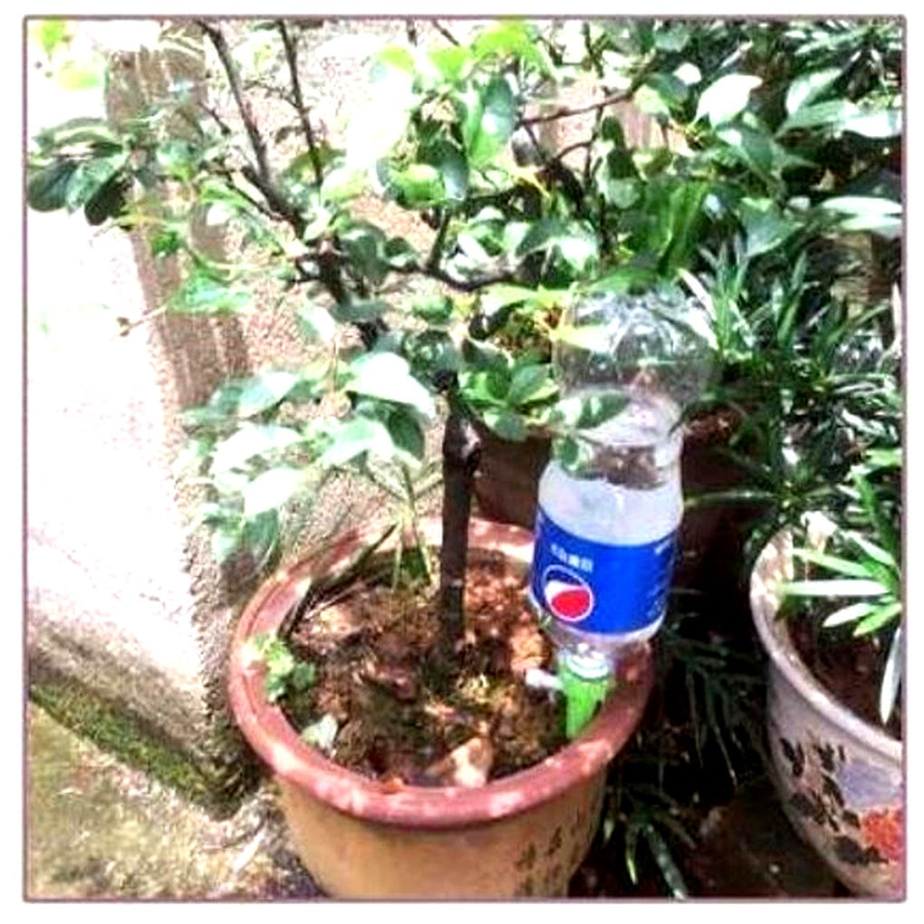 Emeja | Automatische Planten Watergeefspikes - Verstelbare Stroom Tuin Hulp