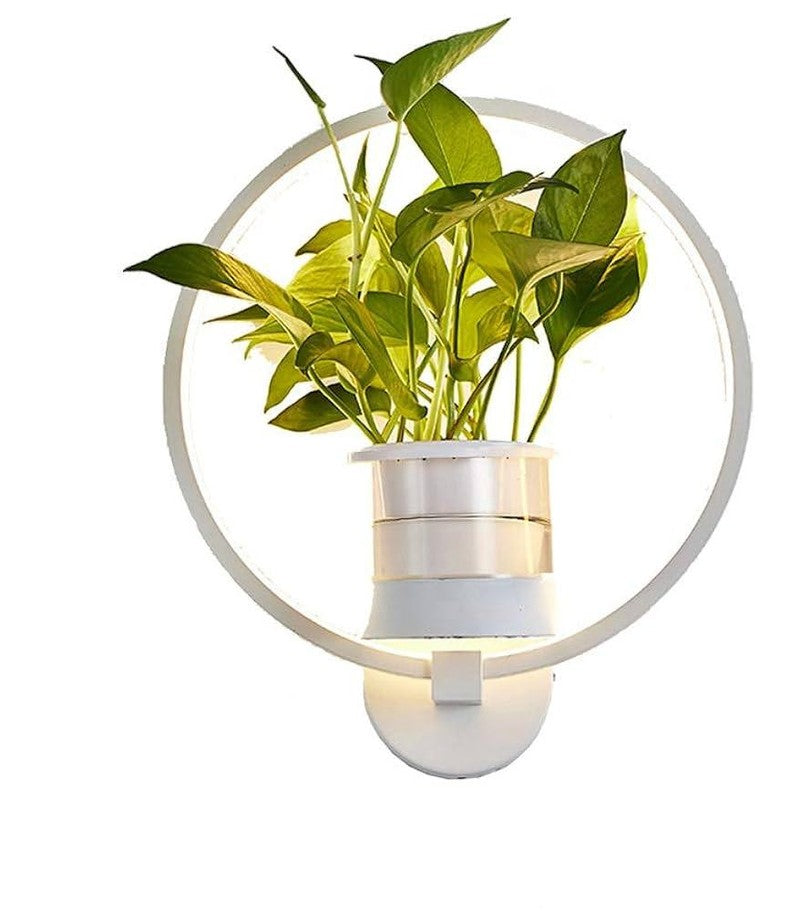 Emeja | Botanische Wandlamp met Plant | Stijlvolle Wandverlichting
