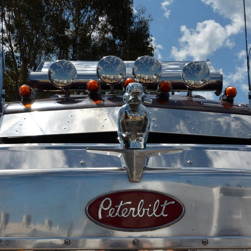 Emeja | Boze Rubberen Eend Hood Ornament