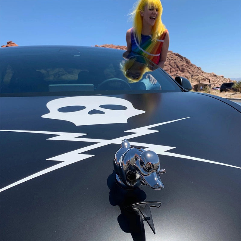 Emeja | Boze Rubberen Eend Hood Ornament
