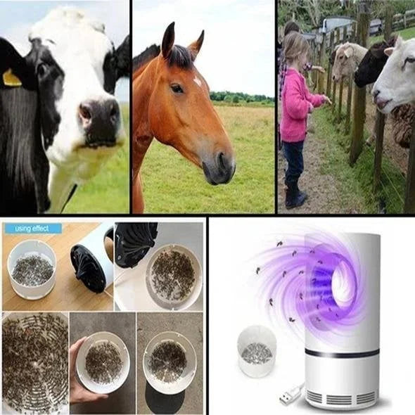 Emeja | Elektrische Insectenlamp met Ventilator