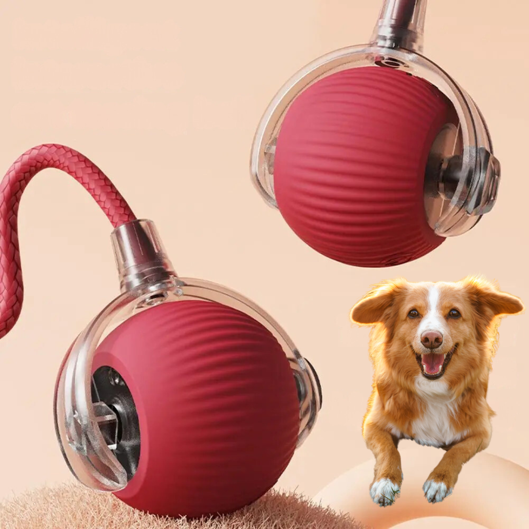 Emeja | Interactief Rollend Bal Speelgoed met Staart voor Honden