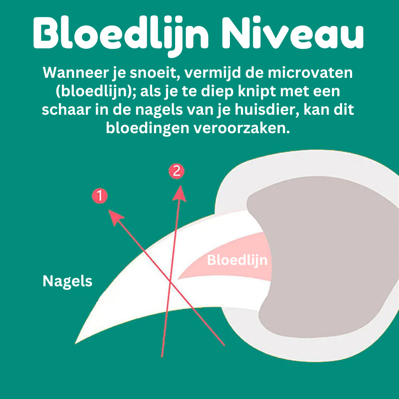 Emeja | MAX - Beste Nagelknipper voor Honden met Snelle Sensoren