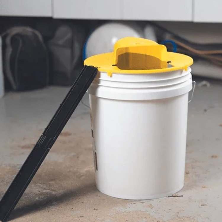 Emeja | Muizenvanger Multi-Catch | Automatische Kantelfunctie | Veilig voor Kinderen en Huisdieren