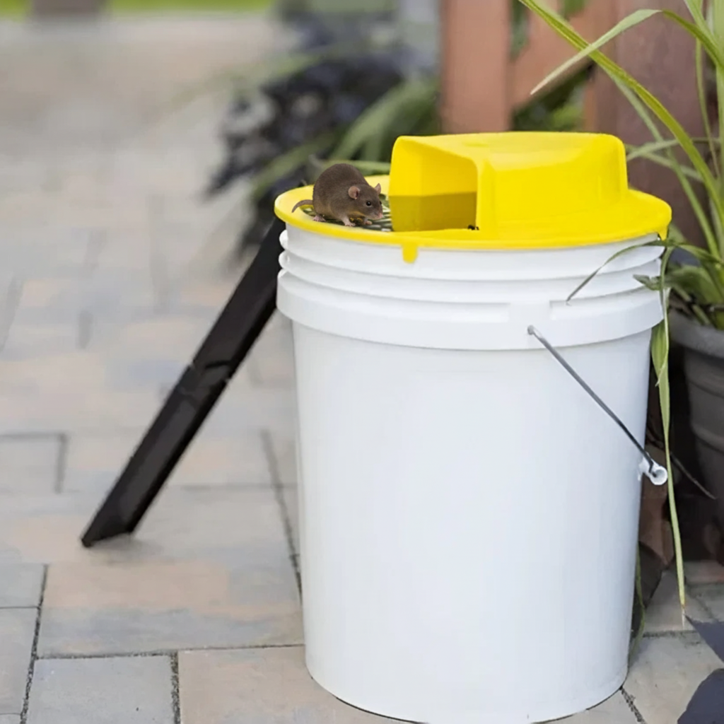 Emeja | Muizenvanger Multi-Catch | Automatische Kantelfunctie | Veilig voor Kinderen en Huisdieren