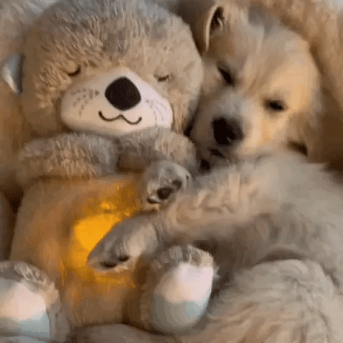 Emeja | Pluche Knuffeltoy met Rustgevende Licht