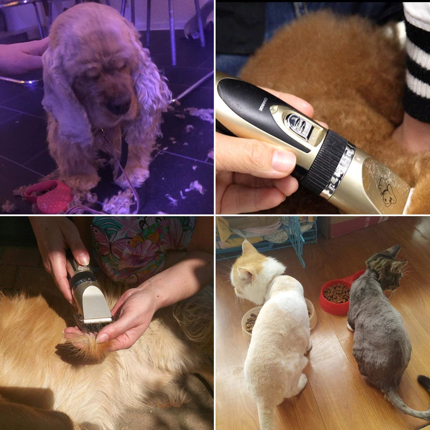 Emeja | Professionele Oplaadbare Hond en Kat Knipper