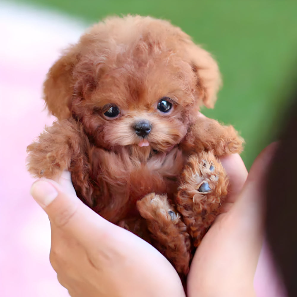 Emeja | Robot Puppy Speelgoed | Loopt, Blaft en Reageert