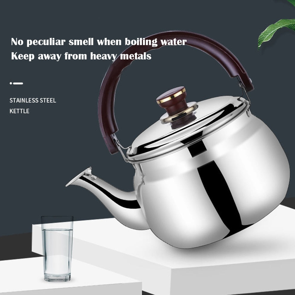 Emeja | RVS Kettle Dikke Wand Fluitketel