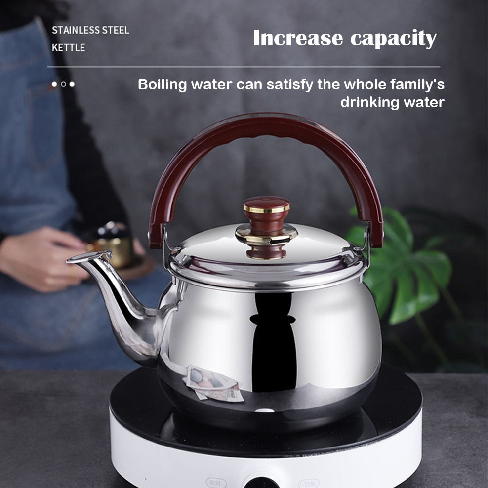 Emeja | RVS Kettle Dikke Wand Fluitketel