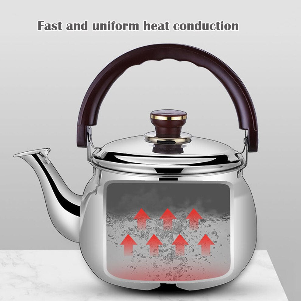 Emeja | RVS Kettle Dikke Wand Fluitketel