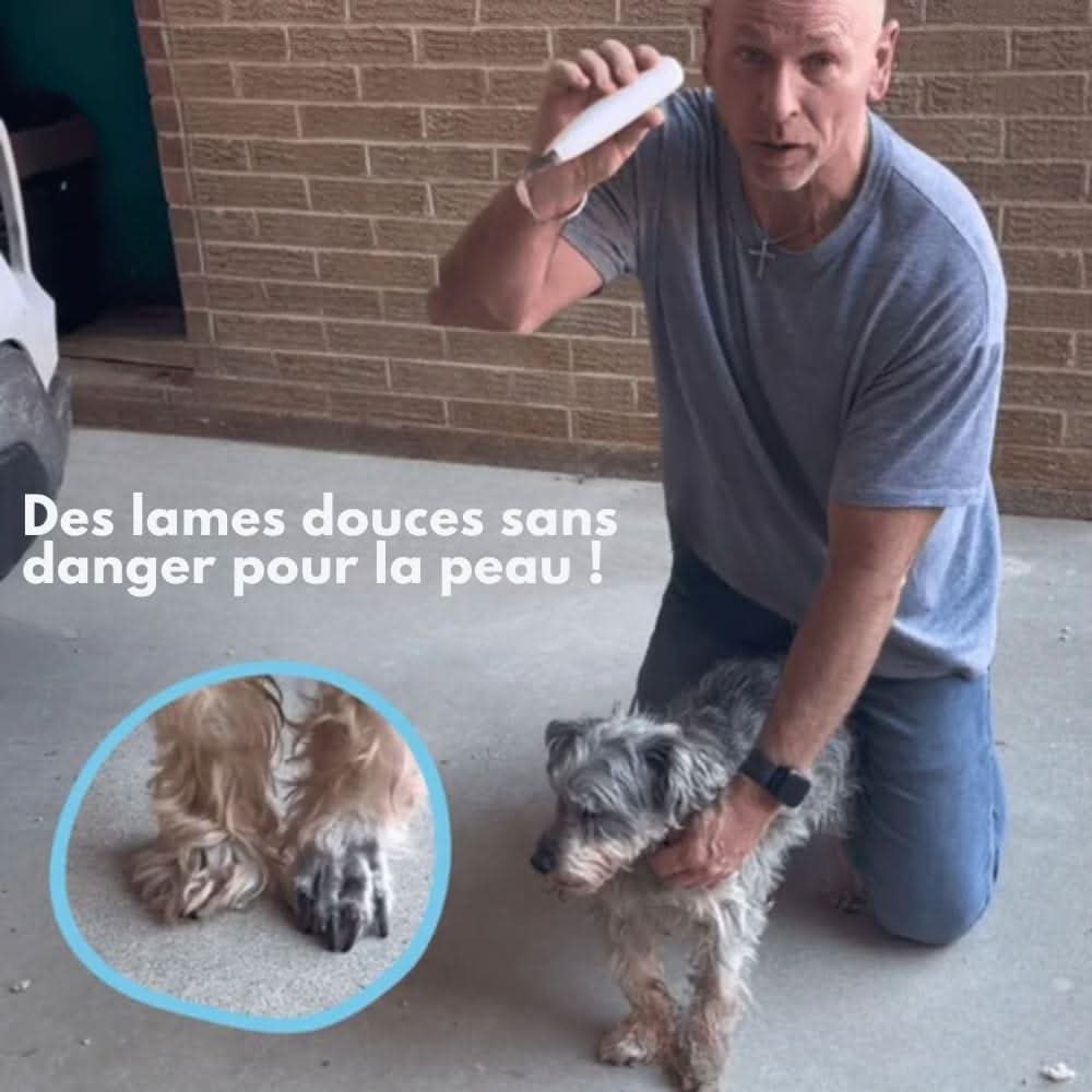 Emeja | SilentPet Trimmer – Stille Vachttrimmer voor Gevoelige Gebieden bij Honden & Katten