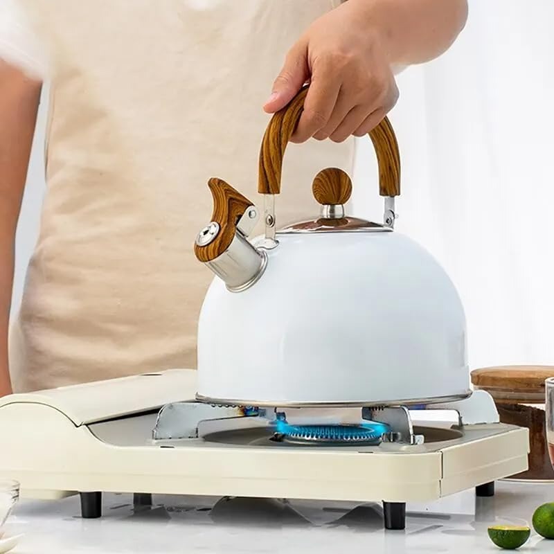 Emeja | Verstelbare RVS Waterkoker | Met Fluitje | 2.5L/3L