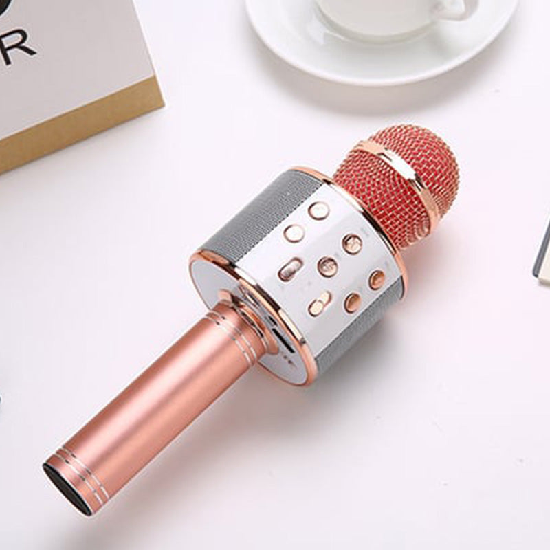 Emeja | Zing Overal: De ultieme draadloze karaoke microfoon!