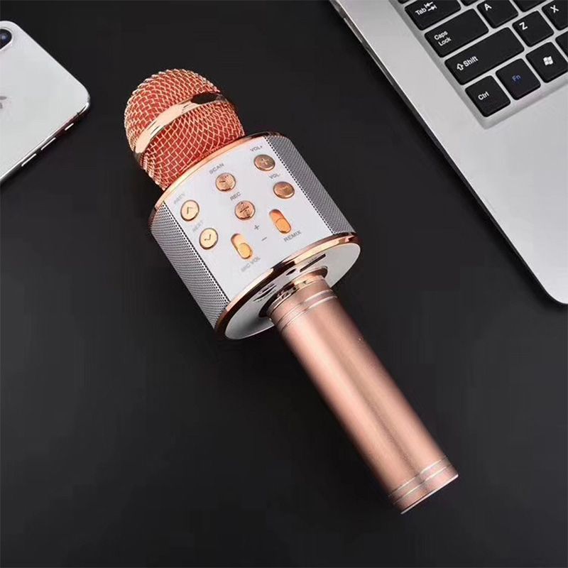 Emeja | Zing Overal: De ultieme draadloze karaoke microfoon!