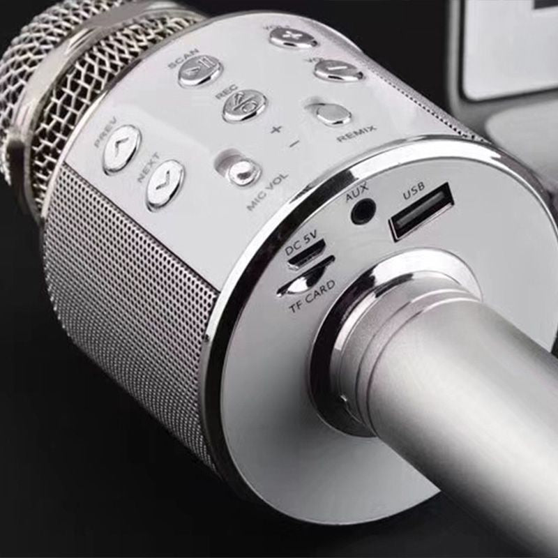 Emeja | Zing Overal: De ultieme draadloze karaoke microfoon!