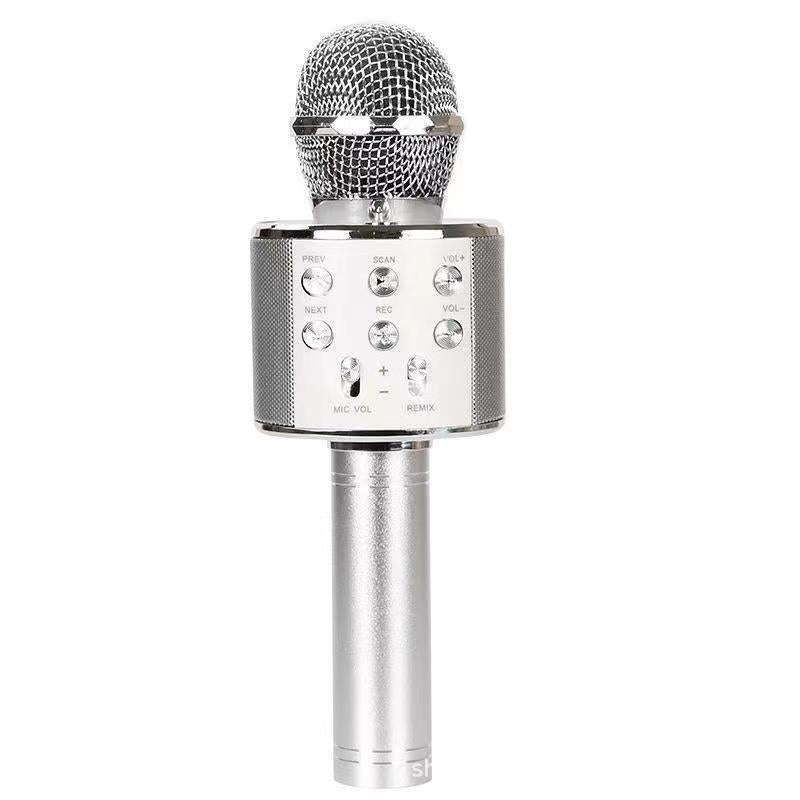 Emeja | Zing Overal: De ultieme draadloze karaoke microfoon!