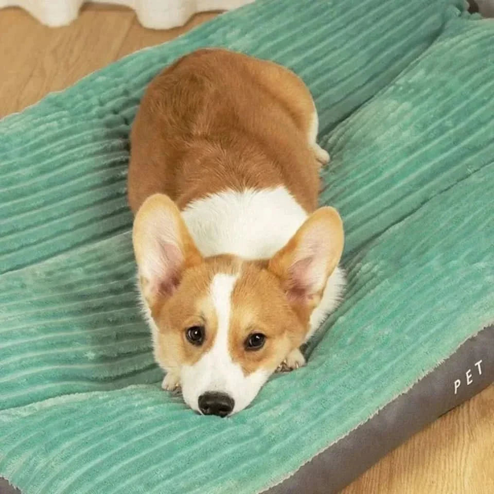 FLAUSCHNEST – Gezellige Comfort voor Honden