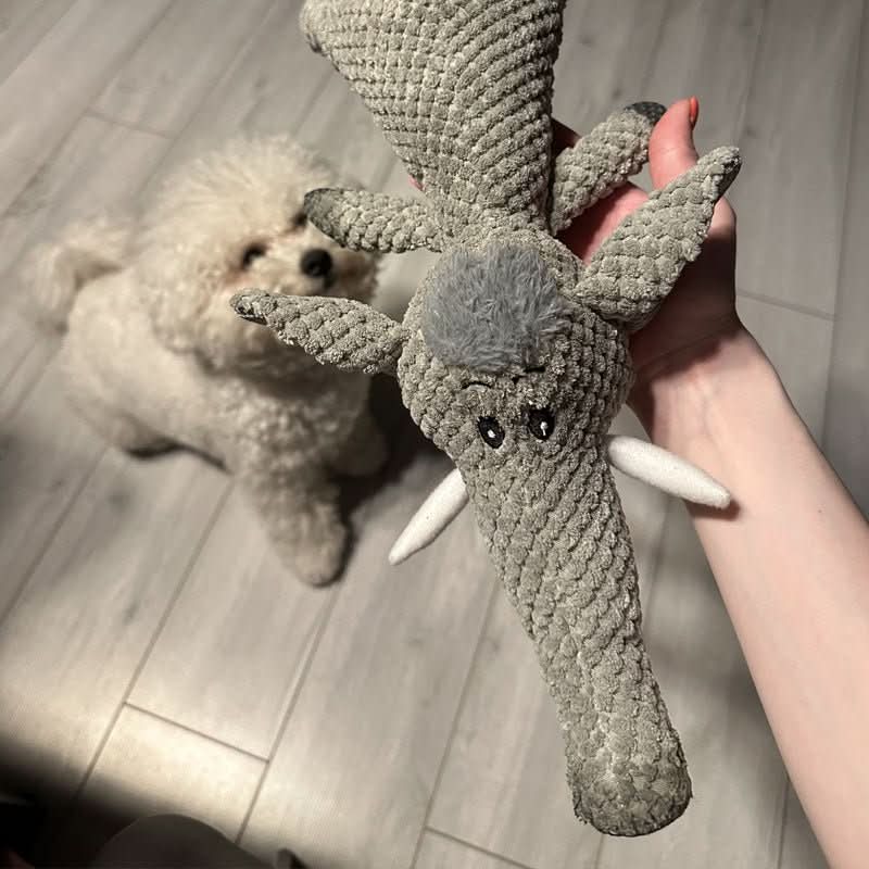 HARDPAW SPEELGOED – Duurzaam Kauwspeelgoed voor Kleine & Grote Honden
