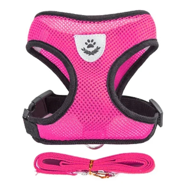 Harnas & Leash voor Kat & Hond