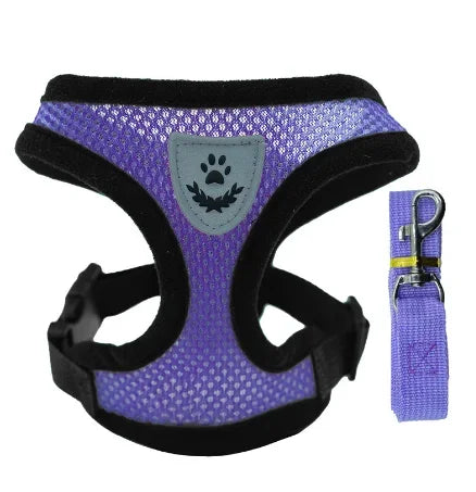 Harnas & Leash voor Kat & Hond