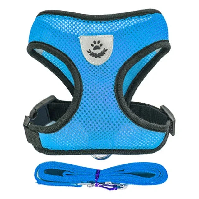 Harnas & Leash voor Kat & Hond