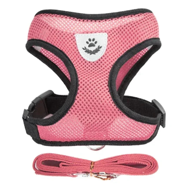 Harnas & Leash voor Kat & Hond