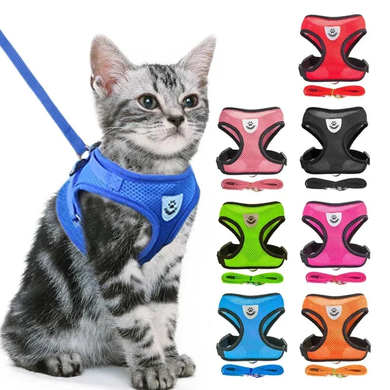 Harnas & Leash voor Kat & Hond