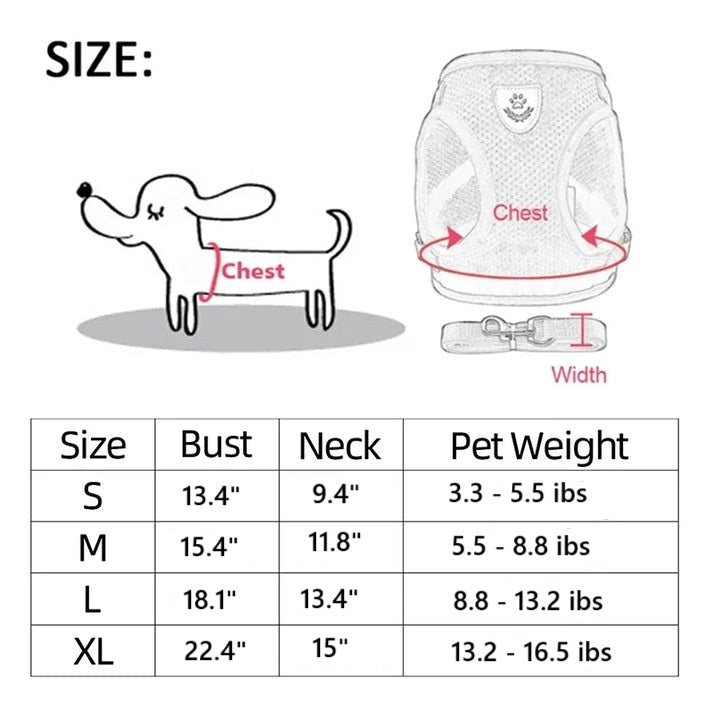 Harnas & Leash voor Kat & Hond