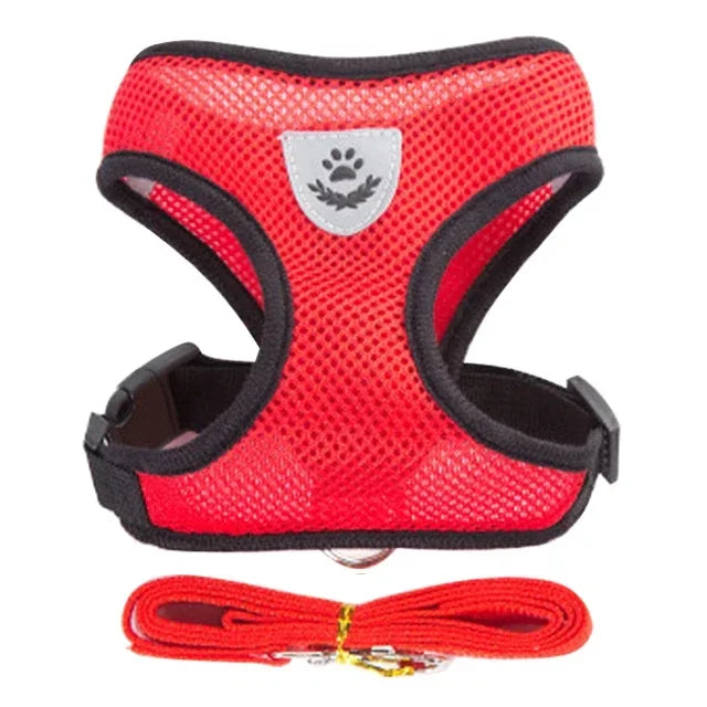 Harnas & Leash voor Kat & Hond