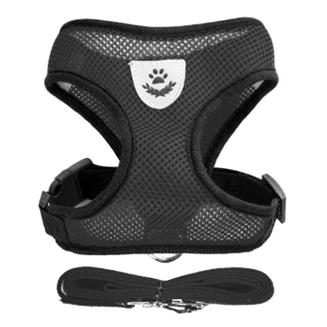Harnas & Leash voor Kat & Hond