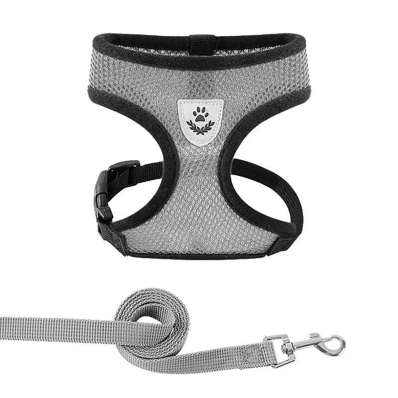 Harnas & Leash voor Kat & Hond