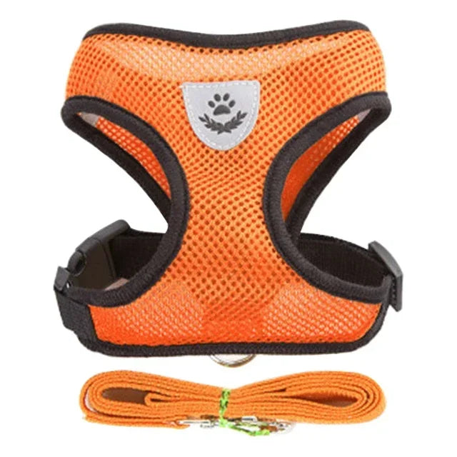 Harnas & Leash voor Kat & Hond